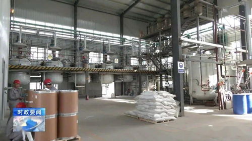 牢記囑托 乘勢而上 李哲調研城西機電化工產業集聚區，強調安全高效推動化工生產